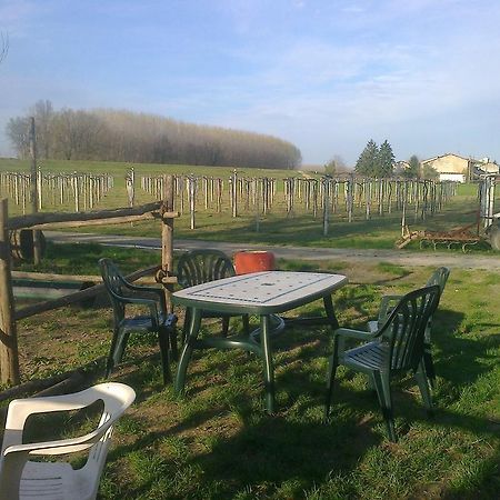 Agriturismo Antica Golena Guastalla Kültér fotó