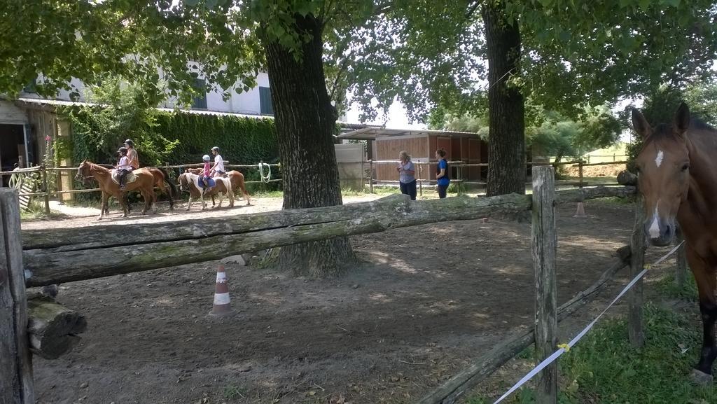 Agriturismo Antica Golena Guastalla Kültér fotó