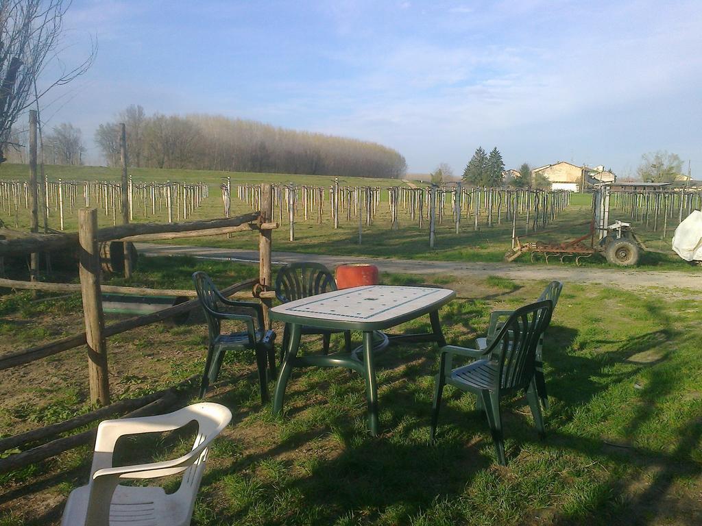 Agriturismo Antica Golena Guastalla Kültér fotó